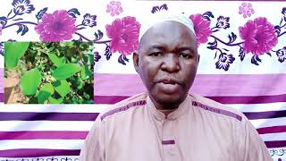 FAIDA ZA MAJI NA MAJAN YA MKUNAZI FAIDA ZA MAJI NA MAJAN YA MKUNAZI