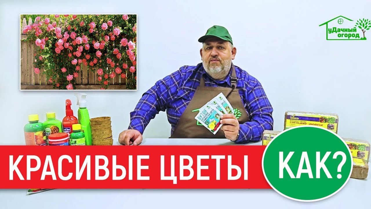 Удачный огород корень супер. Удачный огород TB. ВЕЛЛСЕТ. Велсет. Велсет Vellsam купить.