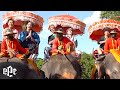 【レペゼンフォックス】100th シングル『Thailand』