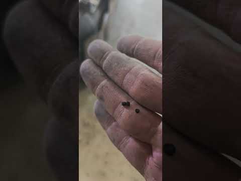 تاهو و يوكن مشكلة هواء في التانكي تتأخر في تعبئة البنزين في المحطة إلحلول