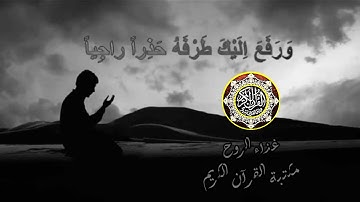 علاج القلب و الروح القرآن الكريم كامل 💜تلاوة هادئة تريح الأعصاب💜 بصوت جميل