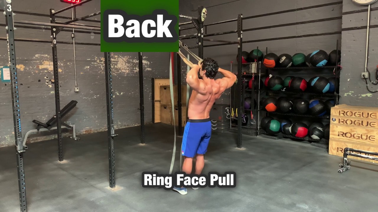 rear delt exercises face pulls