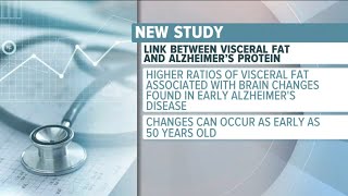 New Study Shows Link Between Visceral Fat And Alzheimers Disease