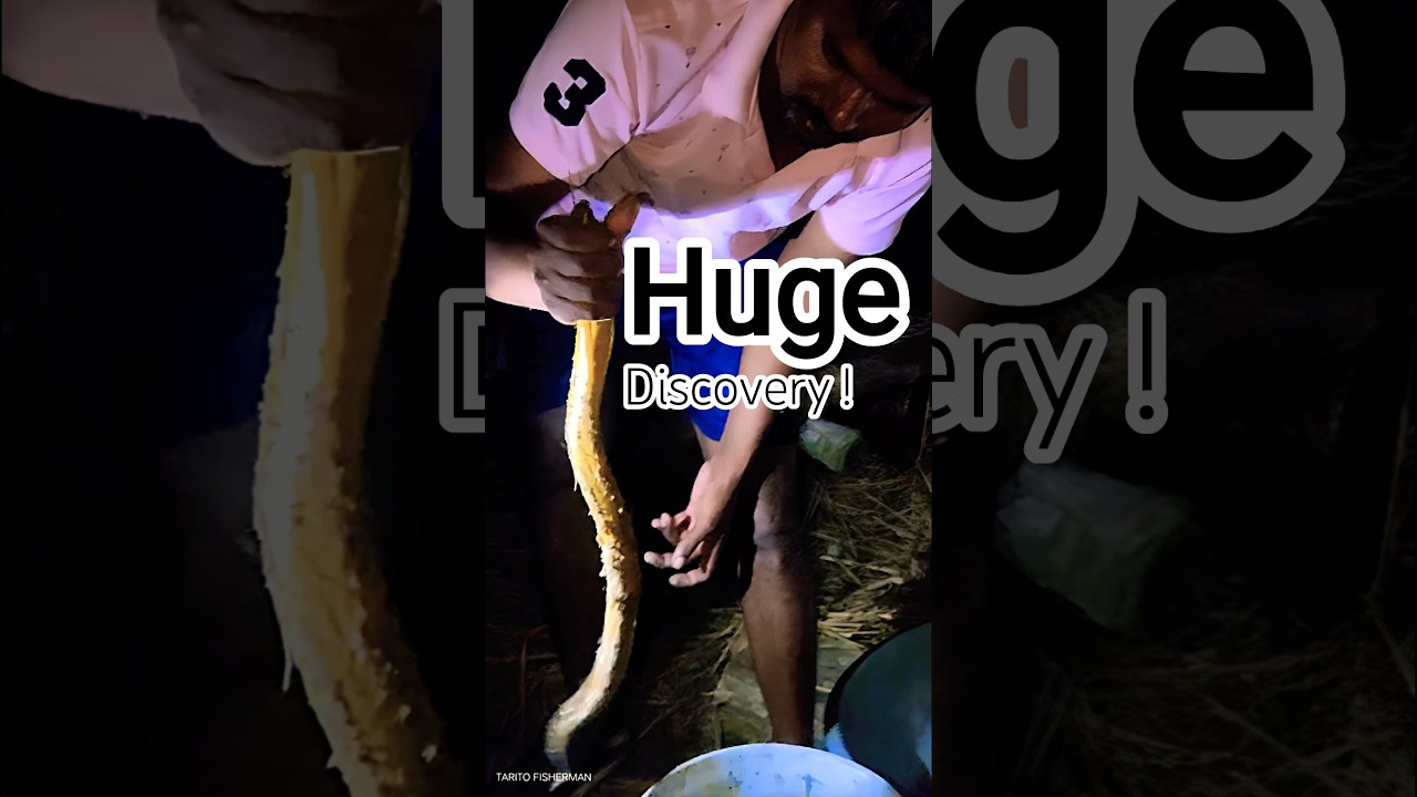 Midnight Discovery! The Hidden World of Eel Fishing in Murkindi 🌊💡🐟