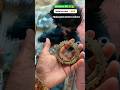 ➪Machanic boy🧑🏻‍🔧🧰#ytshorts #youtubeshorts #trending #viralvideo #video #like #love #viral