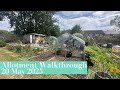 6th YEAR ALLOTMENT WALKTHROUGH TOUR- Chicken keeping, Kitchen garden, flower boarder and cut flowers