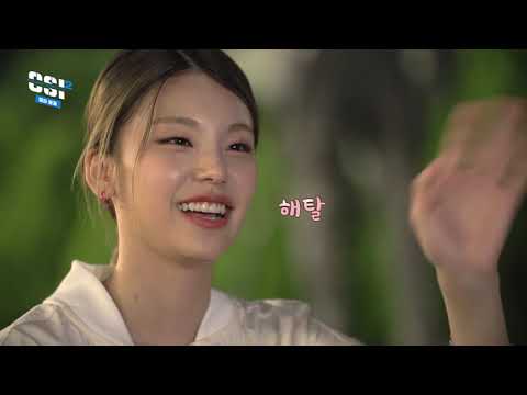 [ITZY] 고양이한테 마저 몰이 당하는 예지