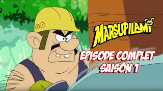 Palombada : Rien ne va plus chez le Marsupilami | EPISODE COMPLET 19-20 | Marsupilami en Français