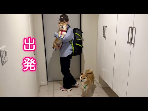 愛犬とこれから長い旅に出ます