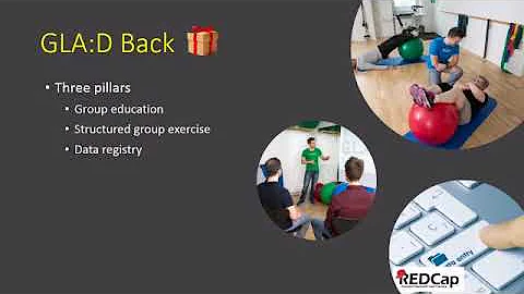 Dr. Greg Kawchuk: GLA:D Back: A program to help pa...