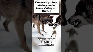 Republic v  Democracy  What is the Difference