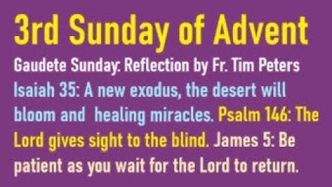 3rd Sunday of Advent: Sunday Readings Explained, Year A, Fr. Tim Peters