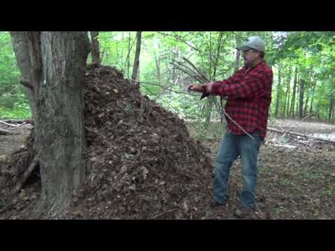 CKAL Pt 3 Shelter Pt 2