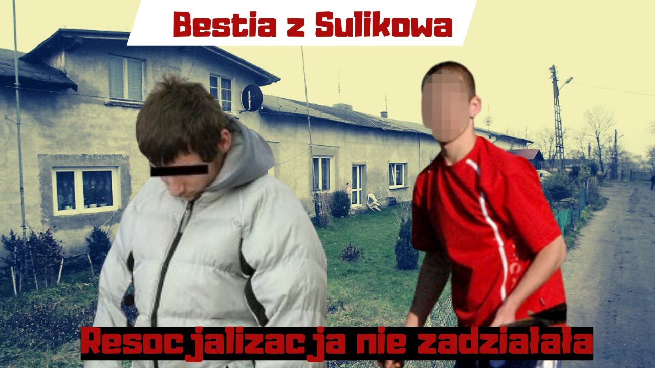 Bestia z Sulikowa