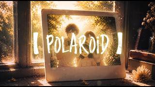 BT028. 【Polaroid】| '왜 이제서야 사진이 선명해지는걸까' | 낡은 사진 속 나는 왜 그렇게 행복해 보이는걸까 |