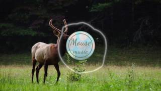 Joakim Karud - Loudness & Clarity | Mouse Music