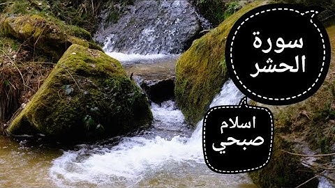 تلاوة خاشعة من سورة الحشر بصوت القارئ اسلام صبحي