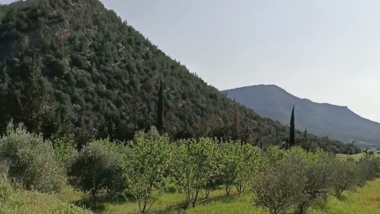 همزة18 هكتار للبيع على واد محافظه تيتر طريق ضوء ماء ڨيلا كورا  0679444657