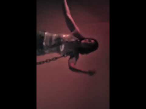 هيدي كرم ما وراء الكواليس