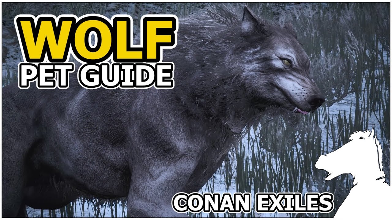 Pets guide. Conan Exiles Волчонок на карте. Оскверненный волк Conan Exiles. Конан Волчий рубеж. Hungry Wolf - hungry Wolf (1970).