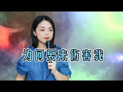 一首《为何要来伤害我》，唱出撕心裂肺的痛，既然相爱为何要伤害