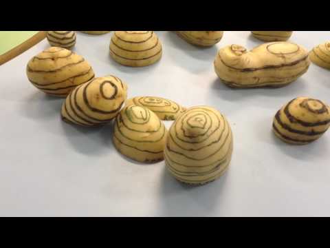 CORDILHEIRA DAS BATATAS