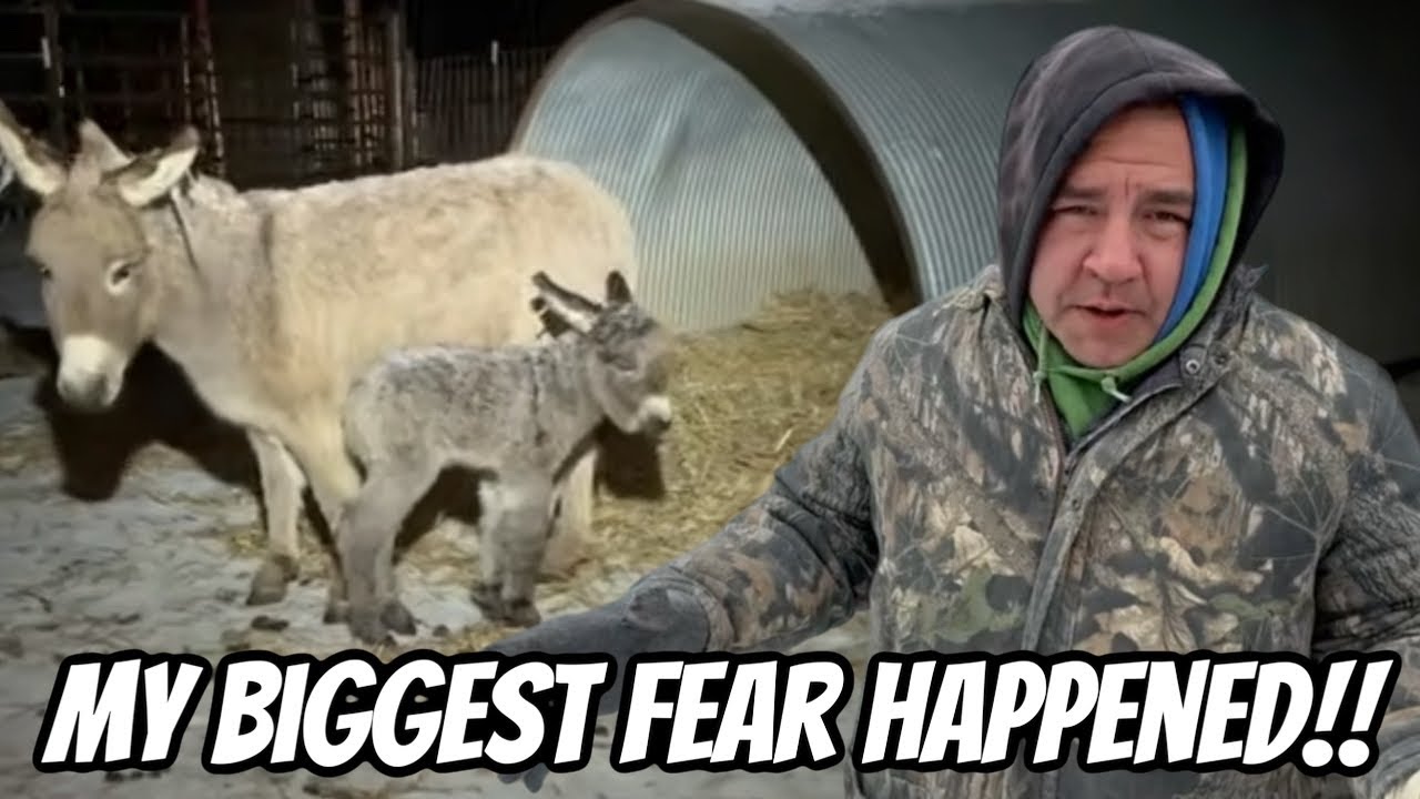 We Tried So Hard To Protect￼ All The Animals!!￼