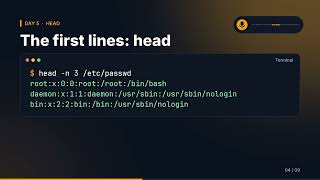 Read Files in Linux: cat, less, head and tail -f — Linux Day 5