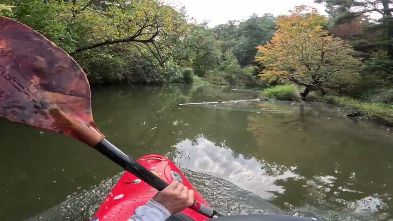 Starved Rock by Kayak on the Illinois River Plus a visit to the Illinois Waterways Welcome Center