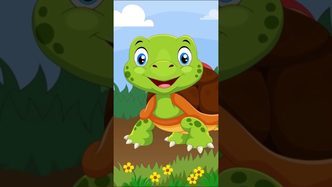 เพลงเต่า เต่าเอ๋ยเต่า  #เพลงเด็๋ก #cartoon #เพลงเด็๋กอนุบาล #เพลง