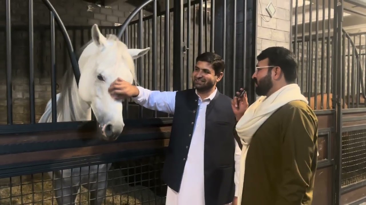 Visit TM stud farm Lahore 