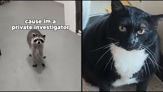 Best Animal Voiceovers - Ep. 53 (NEW)