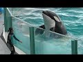 ◆鴨川シーワールド　シャチパフォーマンス（2017．08．14) 13：30~ ◆