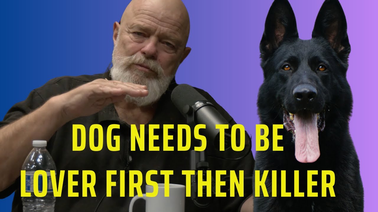 Dog Needs to Be Lover First Then Killer
