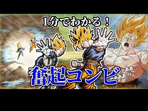 【ドッカンバトル】1分で分かる奮起コンビ【比較】