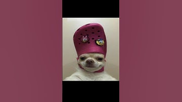 Try Not to change your Wallpaper Challenge