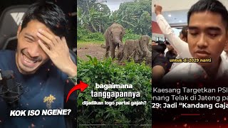 ASTAGA... GAJAH DIALAM PUN MENOLAK DINASTI POLITIK JKW! KOK BISA?