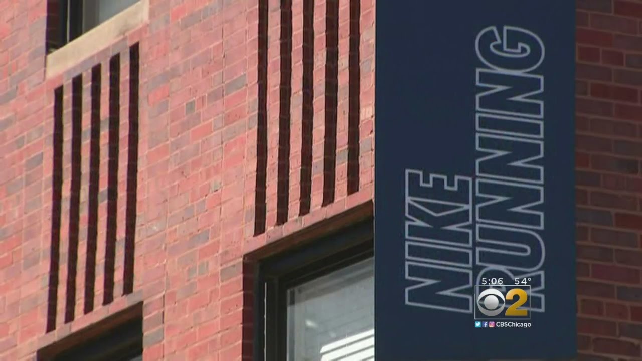 Shoplifting Dogs Nike Store In Bucktown YouTube