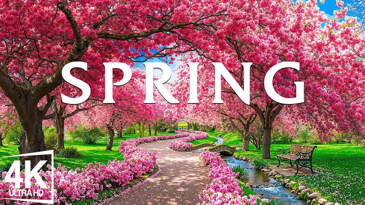 Spring Awakens in 4K 🌿 Blooming Landscapes, Fresh Green Fields ...
