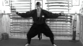 Togakure-ryū Training | Ninja Evasion Techniques (Tonjutsu) Ninpo Taijutsu screenshot 4