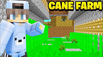Creating a SUGARCANE FARM On My Favourite Server... | Advancius Network