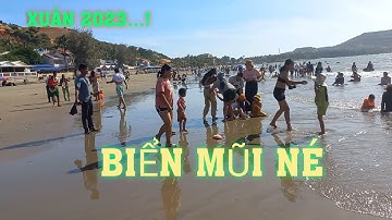 BIỂN MŨI NÉ PHAN THIẾT , CẢNH MUA BÁN HẢI SẢN TẤP NẬP ĐẦU XUÂN 2023! - Vũ phạm!!!