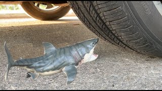 Experiment Car Vs Shark Attack Vs Fish Blood Crushing Crunchy & Soft Things By Car Excarusa