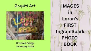 Images From Photobook SWITZER BRIDGE GRAFFITI Published by IngramSpark by Loran Joly