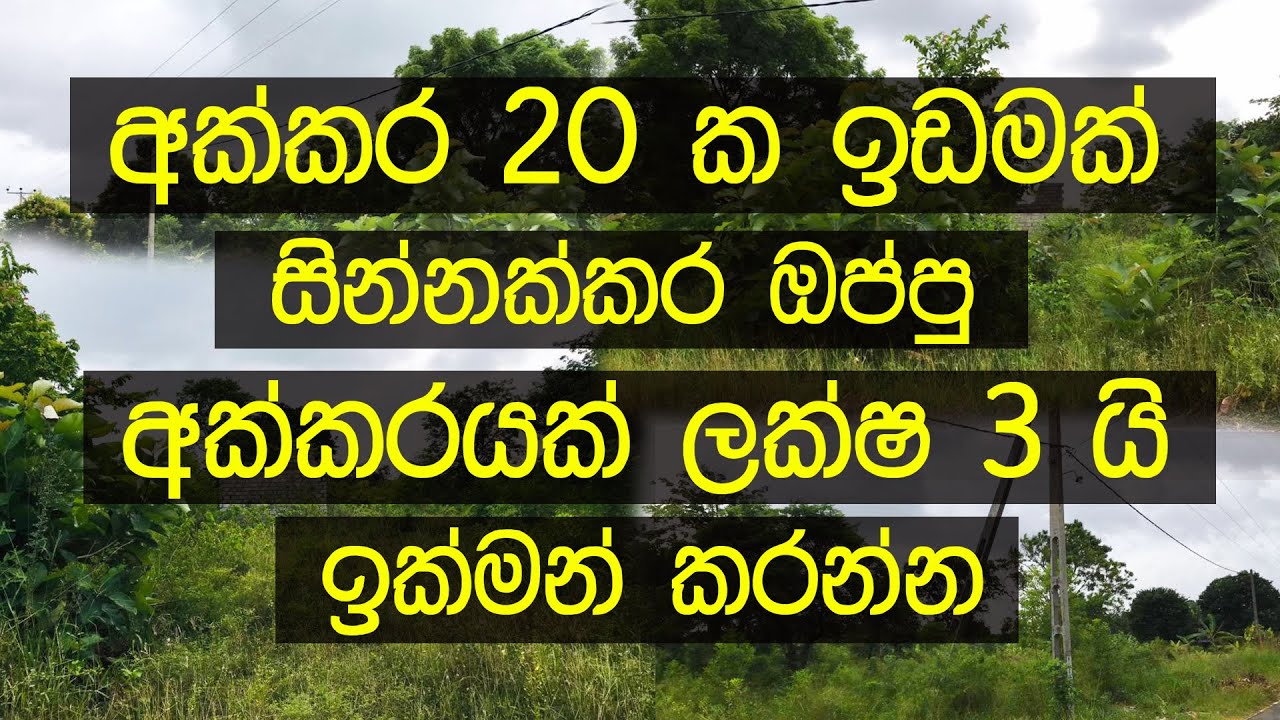 Aduwata Idam Land Sale Agriculture Land for Sale Low Budget Land Sale Land Sale in Sri