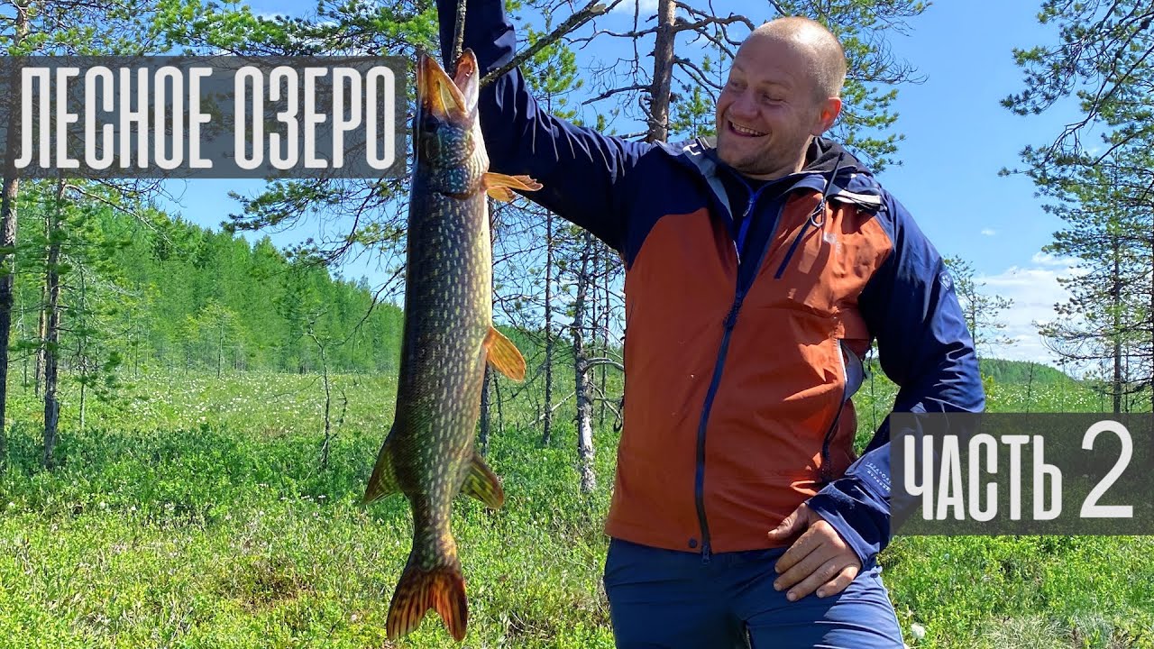 Рыбалка на лесном озере. Пять дней счастья. Часть 2. - YouTube