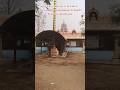 CC Camera Service Done in Sri Gundu Hanuman Temple Raghavapatnam. #viral #cctvcamera #raghavapatnam