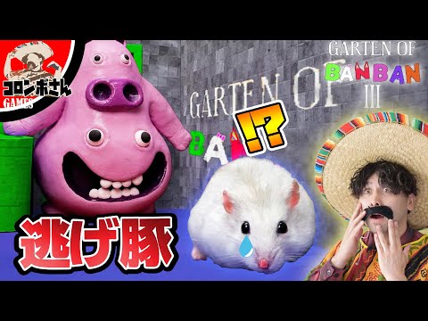 ハムスター爆走⁉バンバンのキャラから逃げろ！【Garten of Banban】【ガーデンオブバンバン】