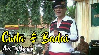 CINTA DAN BADAI Ari Wibowo