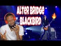 Alter Bridge - Blackbird • Never Heard Before • REACTION!!!